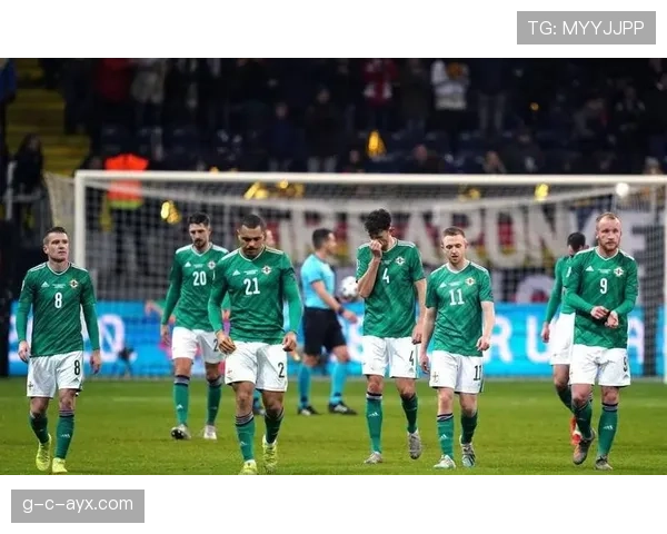 主场优势显威，欧洲杯预选赛球队表现抢眼，未来走势引关注