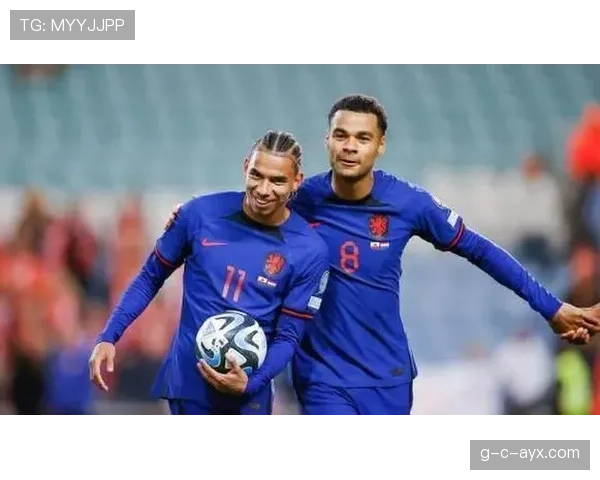 德国队在欧预赛中的出色表现持续提升，重回巅峰面临新挑战