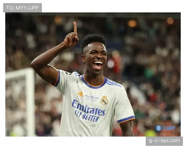 拉菲尼亚与维尼修斯相似